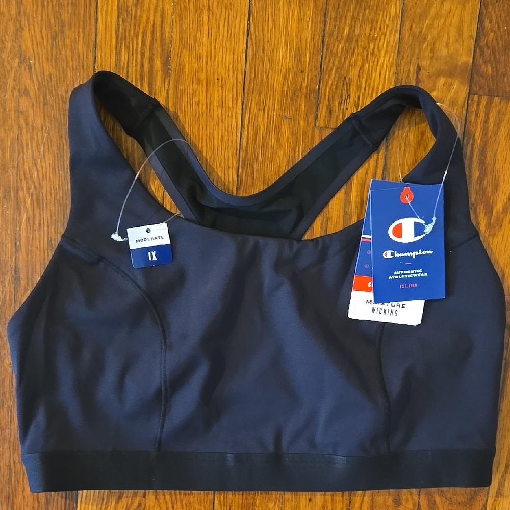 Champion Sports Bra In Plus Size 1XL